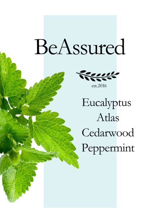 BeAssured (Grounding) Products