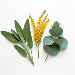 BeFree (Liberating) Blend